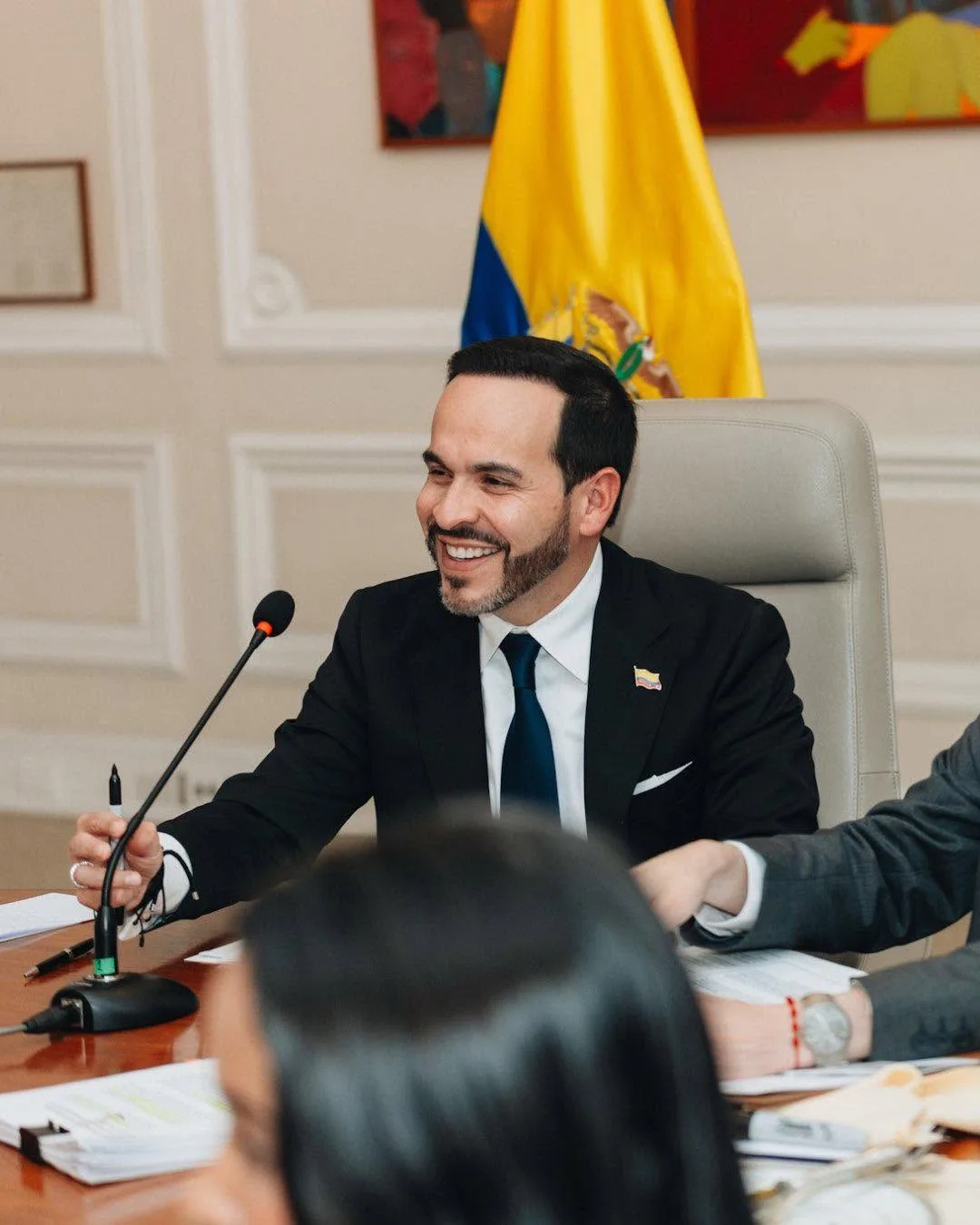 Consejo de Estado rechaza suspensión de Defensores de la Patria