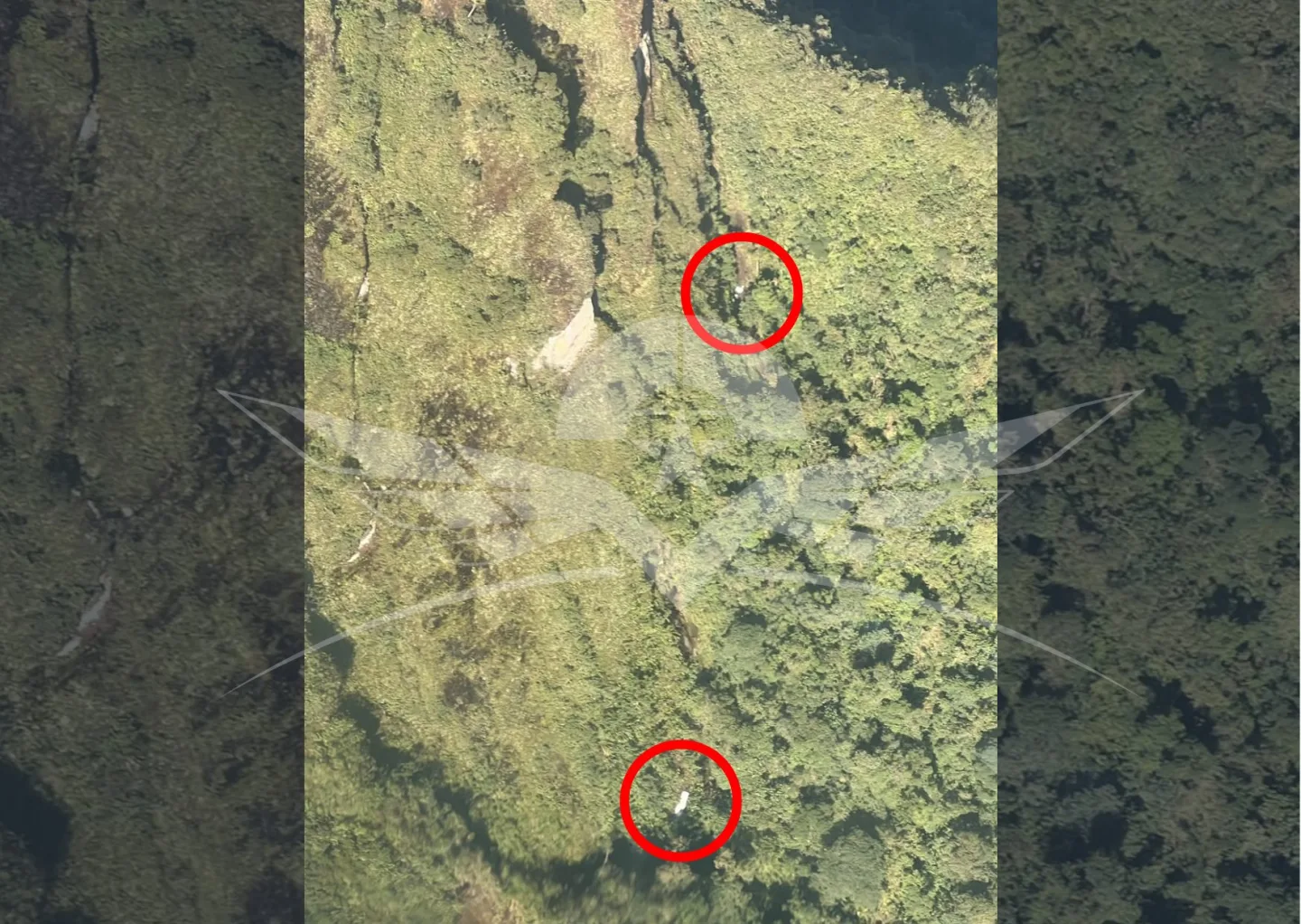 Dificultades meteorológicas y geográficas frenan el rescate de la avioneta en el cerro Tatamá