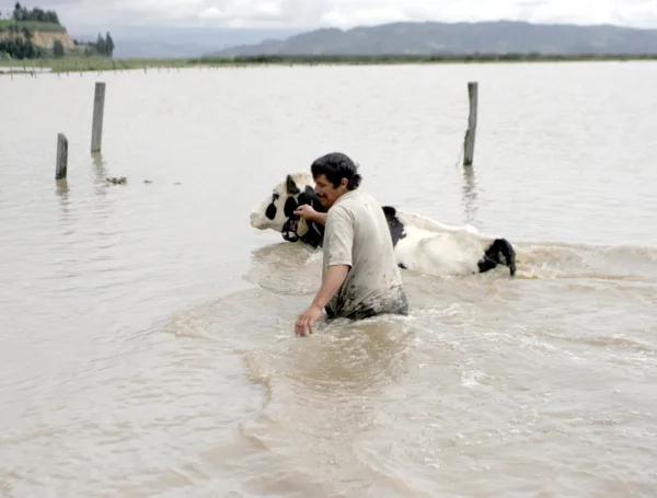 Procuraduría pide a la UNGRD reabrir el registro de damnificados por sismo en el Eje Cafetero