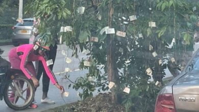 En Cali apareció un árbol cargado de billetes