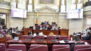 Presencialidad en la Cámara de Representantes