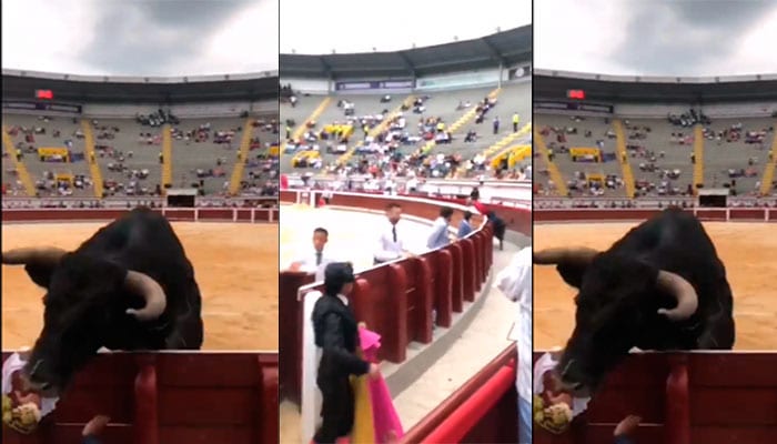 Video: Toro causa gran susto en la plaza de Cañaveralejo al saltar la barrera
