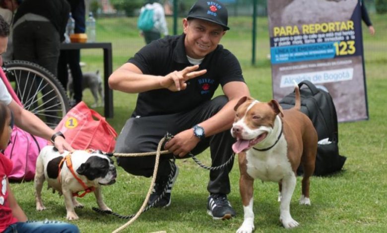 parques para mascotas