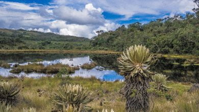 Robaron a 60 personas que realizaban caminata ecológica en Belmira