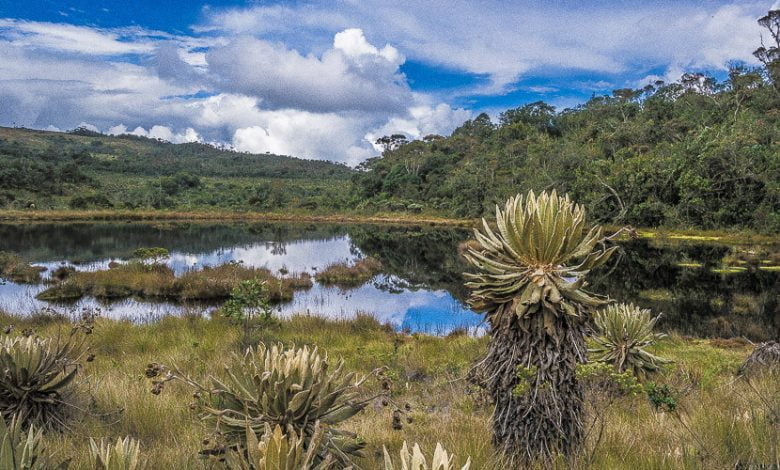 Robaron a 60 personas que realizaban caminata ecológica en Belmira