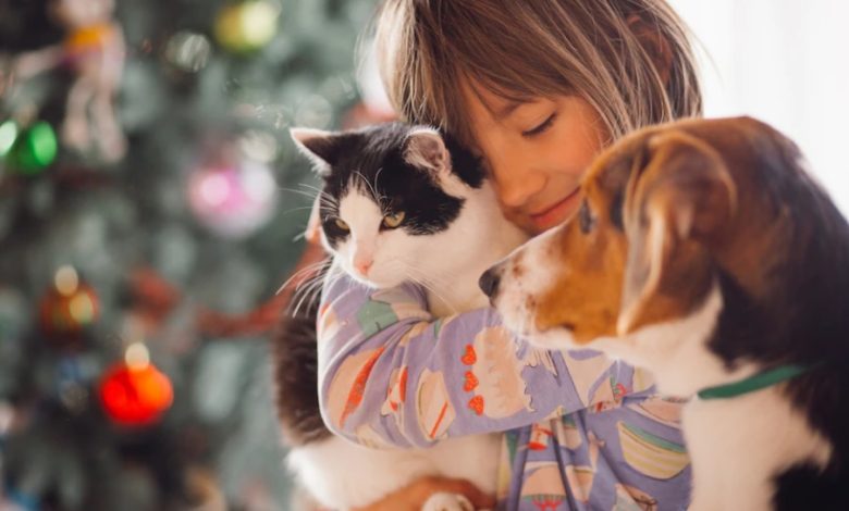 alimentar a su mascota / ingesta de dulces en los animales