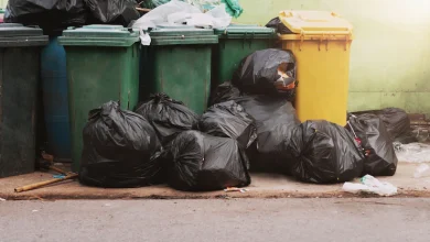 otra masacre en bogotá, bolsas de basura | recién nacido en relleno sanitario