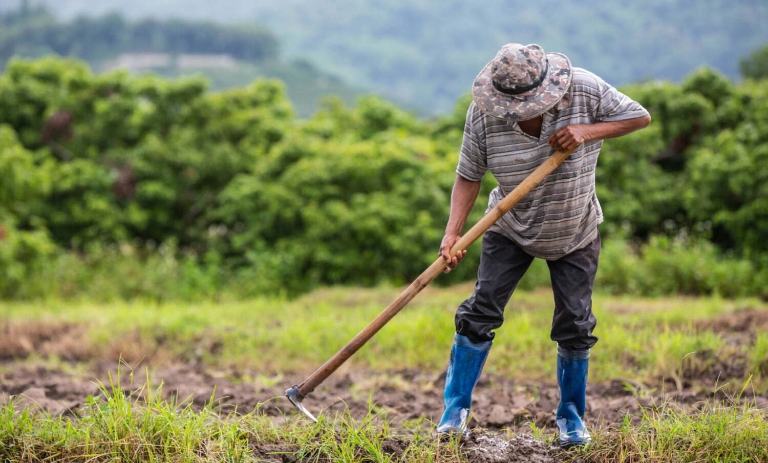 invasión de tierras / Distribución de tierras / pequeños productores / ola invernal / compra y adjudicación de tierras / ministerio del interior / contienda electoral