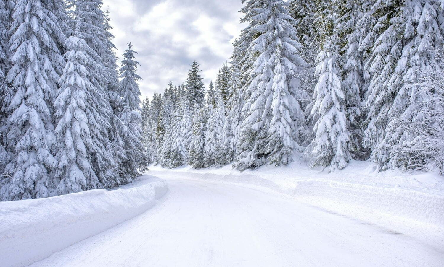 por qué la nieve es blanca / día más frío