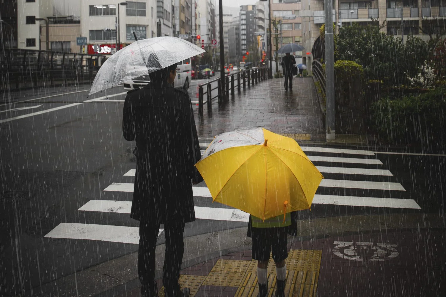 alerta por lluvias | onda tropical provocará intensas lluvias / fenómeno de El Niño / Bogotá, lloverá / Ideam / temporada de lluvias / departamentos / ideam