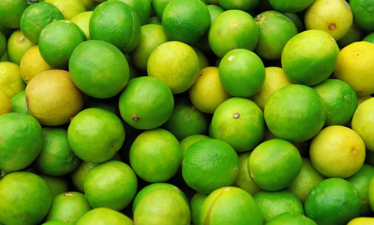 jugosos limones frescos en pila / limón