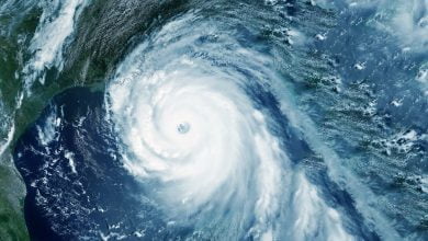 huracán Lisa | tormenta Nicole estado de emergencia tornados - huracan Beryl