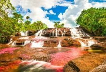 Río de cascada multicolor en Colombia Caño Cristales / destinos