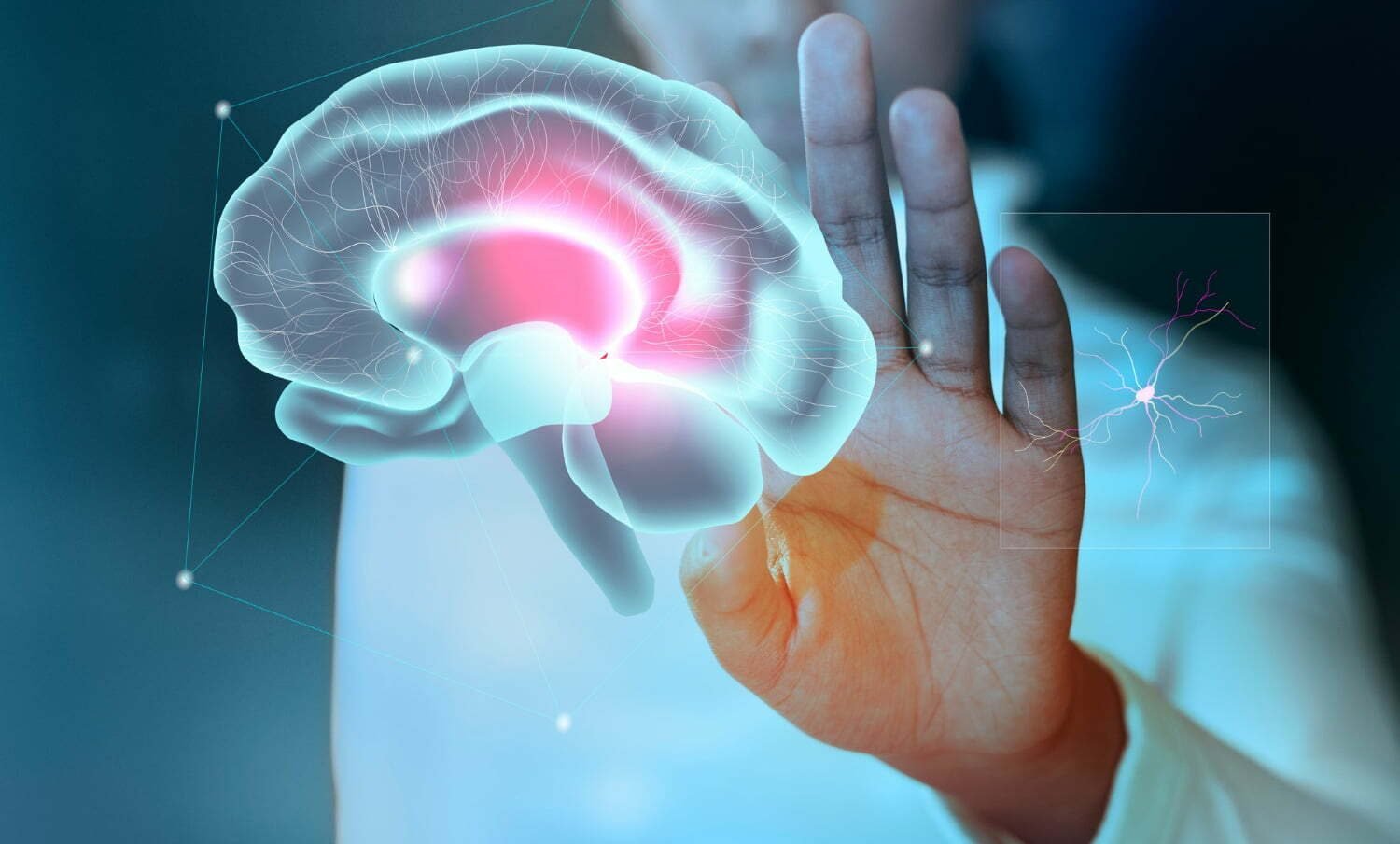 holograma de cerebro, para estudiar el infarto cerebral / tumor