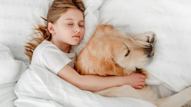 Hermosa niña que se queda en la cama con perro / mascotas - ¿Es buena idea dormir con tu mascota? Esto dicen los expertos