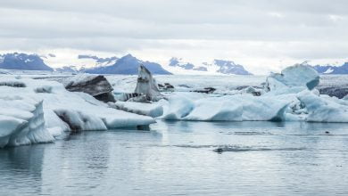 capas de hielo | virus congelado | Antártida