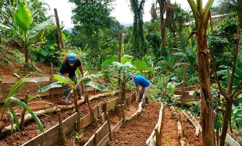 Prosperidad Social atenderá a 11.450 hogares víctimas del desplazamiento forzado