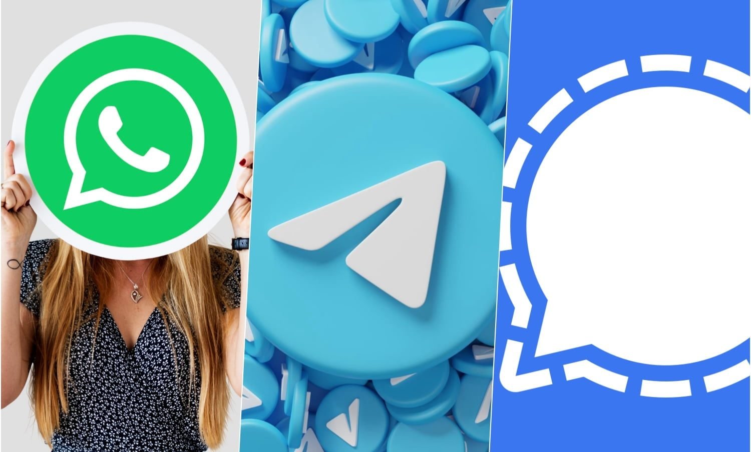 WhatsApp Telegram Signal / WhatsApp Web