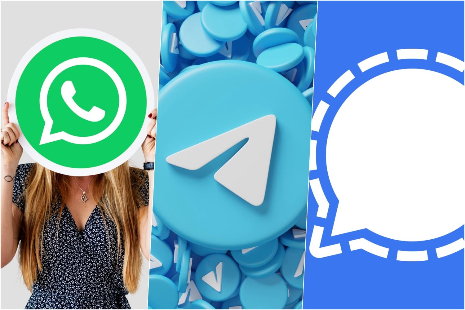 ¿cuál Es La Mejor Aplicación De Mensajería Whatsapp Telegram O Signalemk 0020