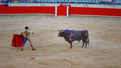 Foto de corridas de toros taurinos