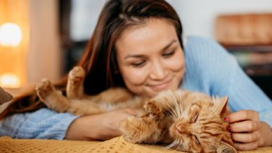 mujer acariciando a su gato / dueños de gatos / perro o gato se siente amado por usted