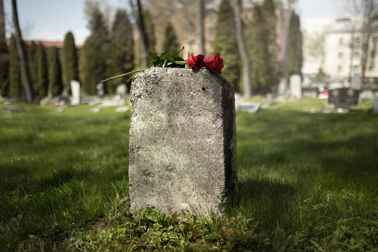 vista de lápida con flores cementerio