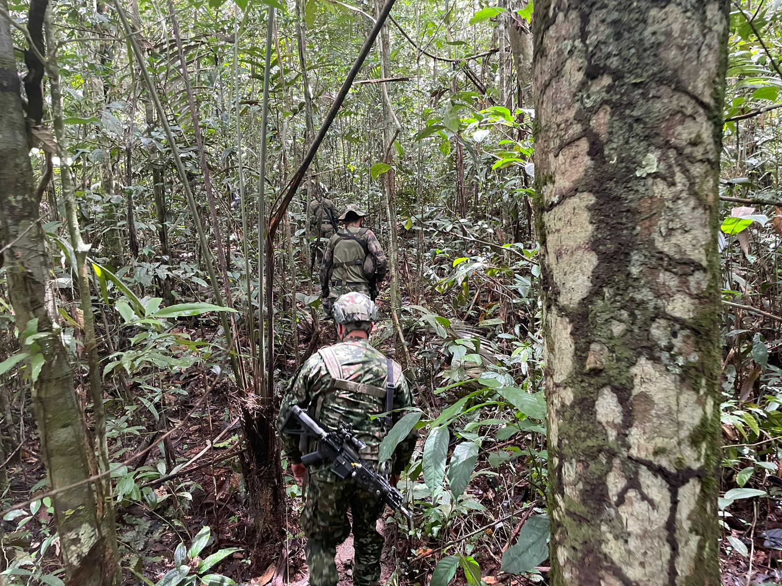 Niños desaparecidos en la selva: familiares dicen que un duende no