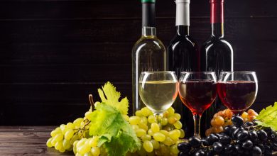 Variedad de vinos para elegir el vino ideal para la ocasión