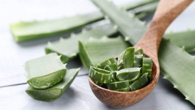 aloe vera / gastritis - quemaduras con pólvora / sábila