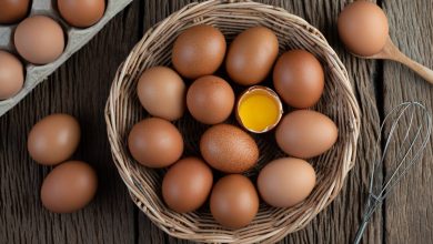 gallinas que más ponen huevos