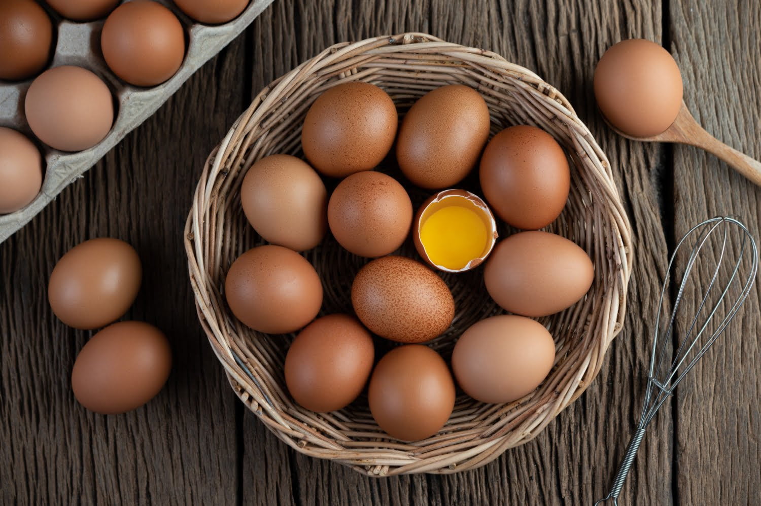 gallinas que más ponen huevos