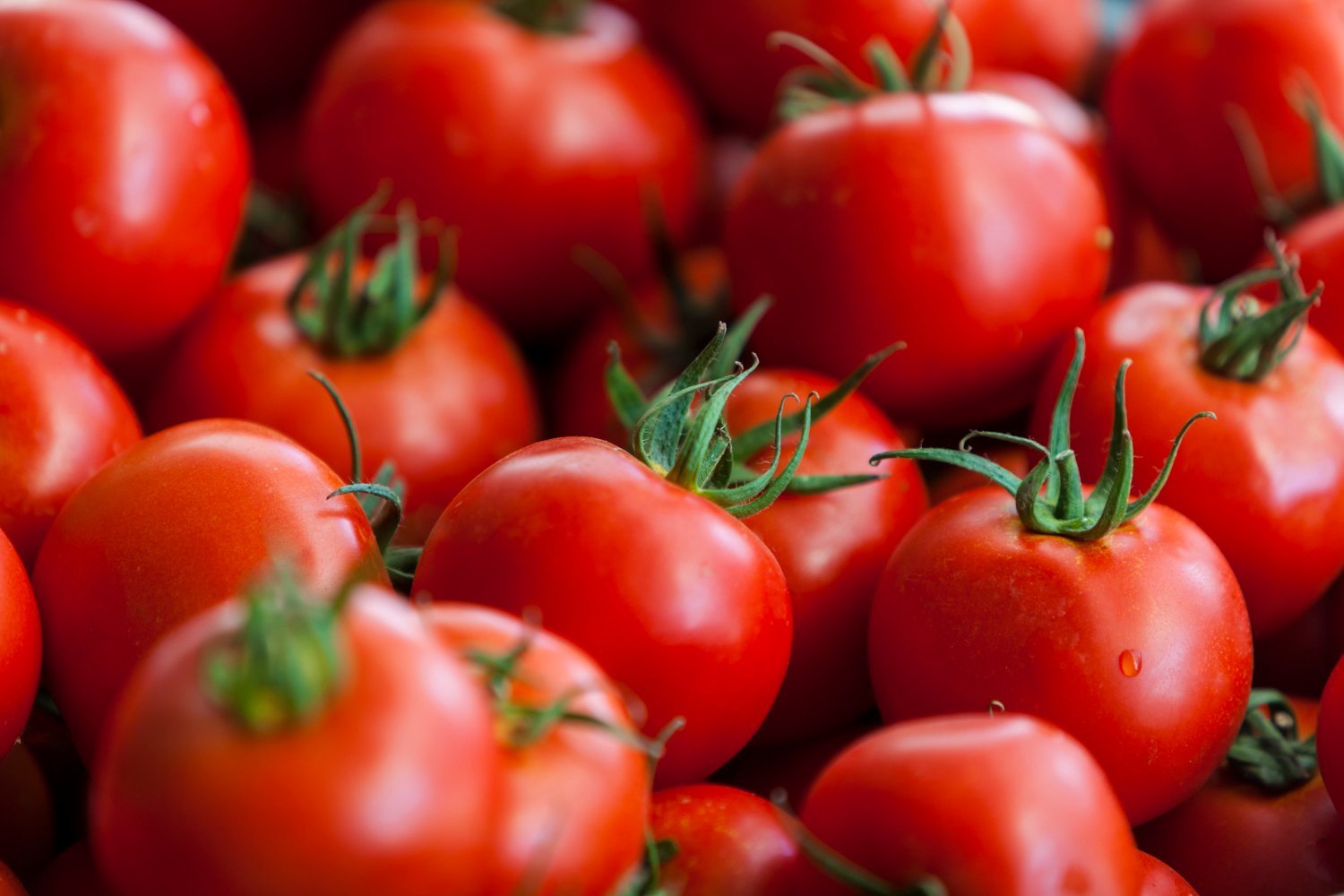 frutas - cáncer de mama - comer tomates / tomate