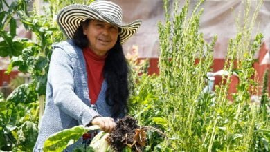 Día Internacional de la Mujer Rural