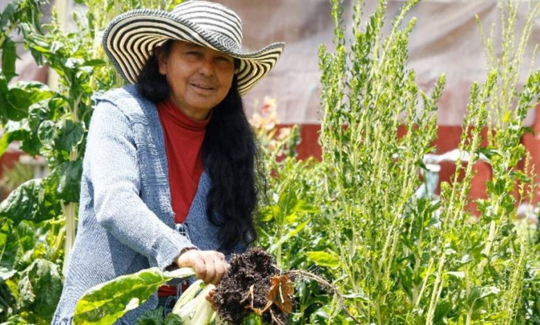 Día Internacional de la Mujer Rural