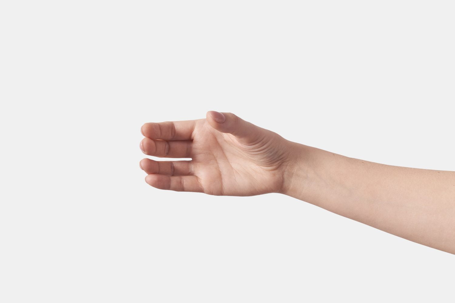¿Qué significan las líneas en las palmas de las manos?