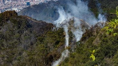 Emergencia en Bogotá, Incendios forestales amenazan la biodiversidad de la capital