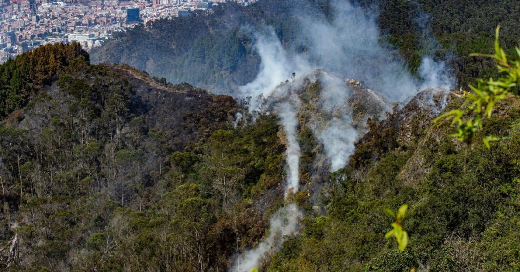 Emergencia en Bogotá, Incendios forestales amenazan la biodiversidad de la capital