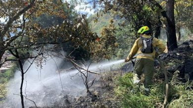 Emergencias en Medellín: Autoridades trabajan para controlar incendios forestales