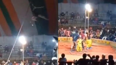 Video: Gimnasta fallece en pleno show de circo por grave accidente