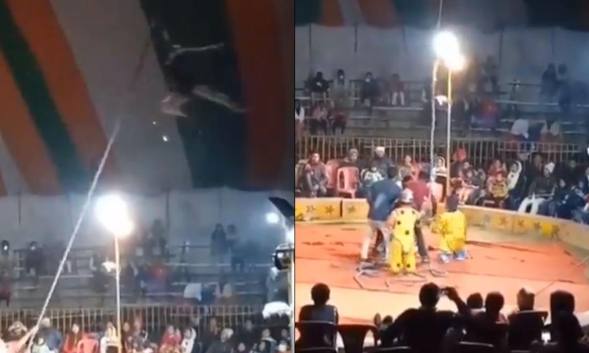 Video: Gimnasta fallece en pleno show de circo por grave accidente