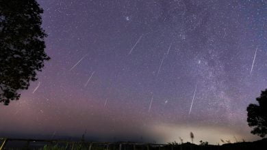 lluvia de estrellas