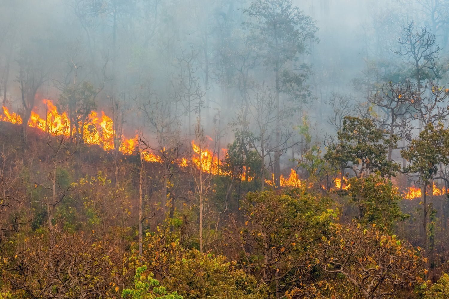 Emergencia en Chile Gobierno declaró estado de excepción