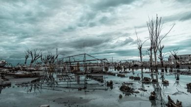 La impactante alerta que hay sobre Uruguay