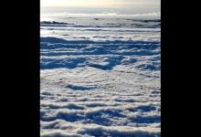 Video: El mar se congeló en Argentina, ¿por qué sucede esto?