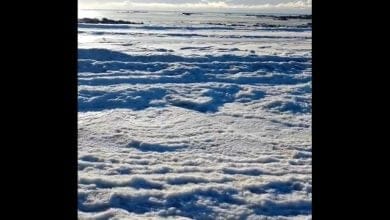 Video: El mar se congeló en Argentina, ¿por qué sucede esto?