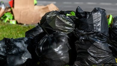 Prohibición de plásticos de un solo uso: ¿Qué pasará con las bolsas de la basura?
