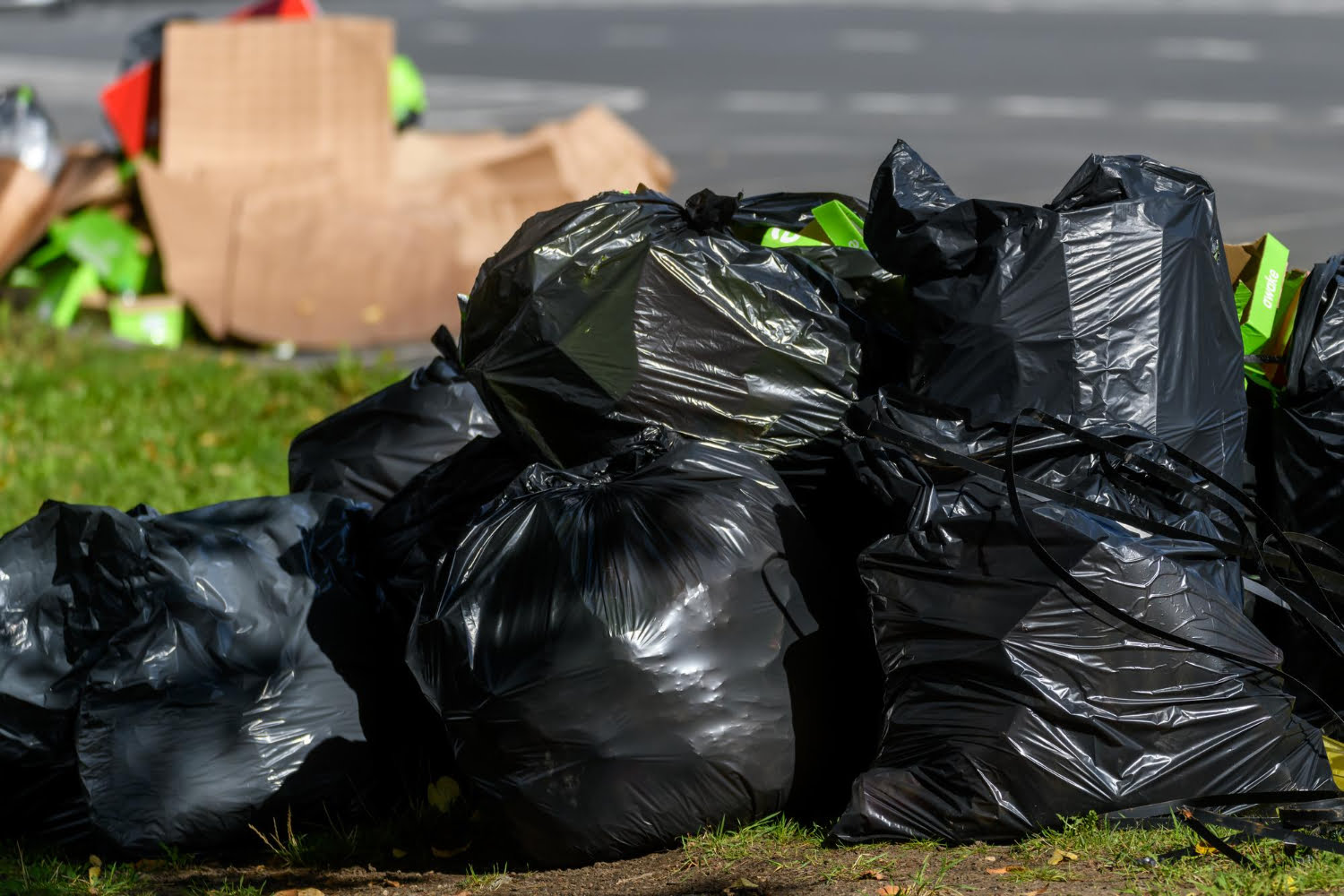 Prohibición de plásticos de un solo uso: ¿Qué pasará con las bolsas de la basura?