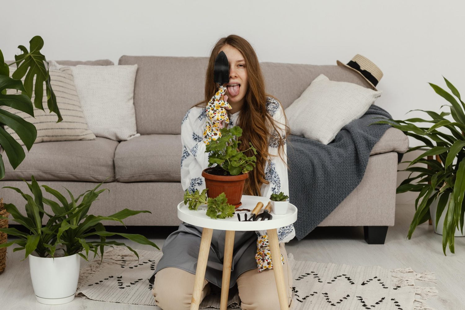 5 plantas para decorar la sala de tu casa